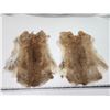 Image 1 : 2 Brown rabbit pelts - approx 18x13"