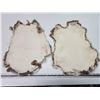 Image 2 : 2 Brown rabbit pelts - approx 18x13"