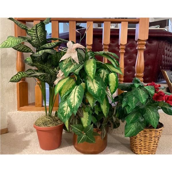 Decorative Floral Arrangements / Compilation of Flowering Plants