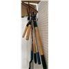 Image 1 : Assorted Pruning Tools