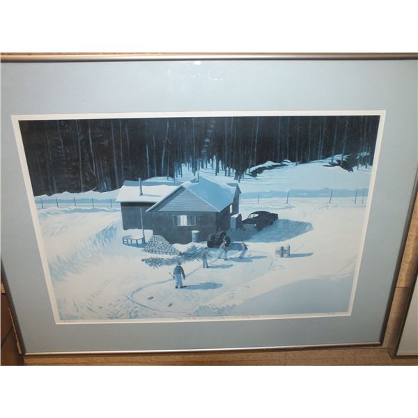 Backyard Rink Hockey Picture