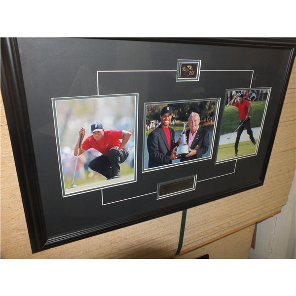 Bay Hill Tiger Woods & Arnold Palmer Picture
