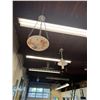 Image 2 : *OS* PAINTED HANGING DOME FIXTURE & HALL OF FAME HANGING FIXTURE