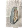 Image 2 : AMETHYST/ AGATE GEODE BRAZIL 3KG APPROX 8" RETAIL $1400
