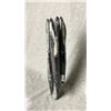 Image 2 : ORTHOCERAS FOSSIL APPROX 12.5" RETAIL $2200