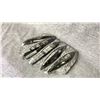 Image 2 : ORTHOCERAS FOSSIL APPROX 7X5" RETAIL $1100