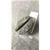 Image 2 : ORTHOCERAS FOSSIL RETAIL $400