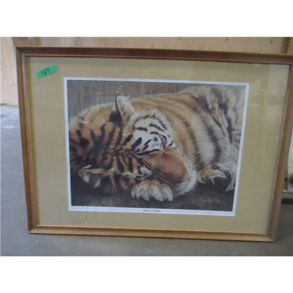 FRAMED TIGER PICTURE BY GAIL ADAMS (APPROX 42" X 30")