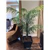 Image 1 : Luxury Silk Palm Tree 65W x 70T