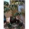 Image 1 : Set of Large Artificial Plant (19W, 95T) Including Smaller Artificial Plants