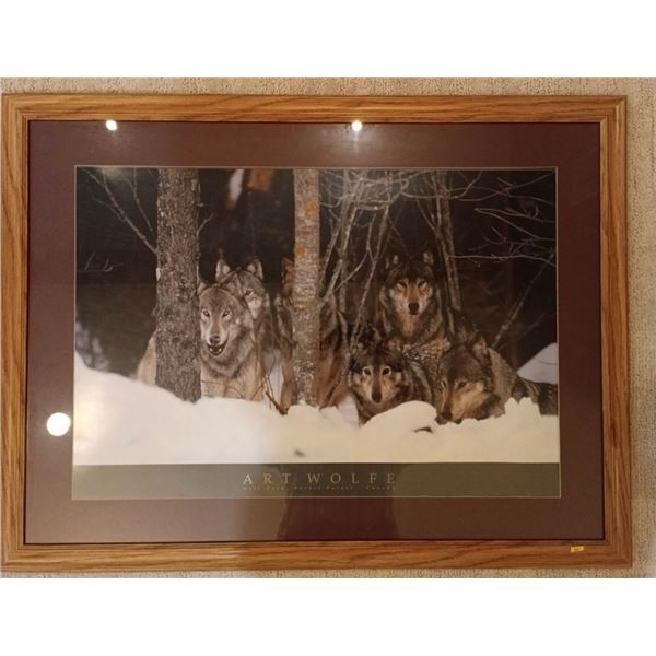 Art Wolfe Print  - Wolf Pack, Boreal Forest Canada; 41W, 31T