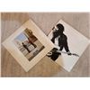 Image 1 : Set of Bruce Springsteen and Pink Floyd Vinyl Records