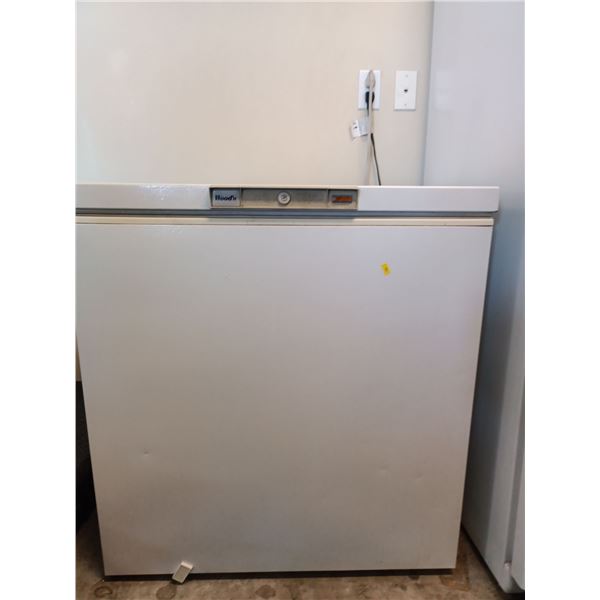 Set of 2 Freezers; Food Not Included; Smaller is 32W, 22D, 35T, Bigger is 45W, 24D, 35T