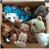 Image 1 : TY Beanie Babies Box