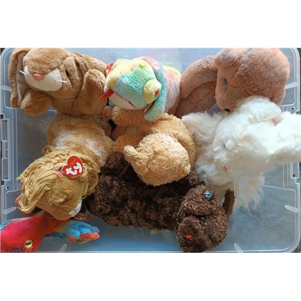 TY Beanie Babies Box