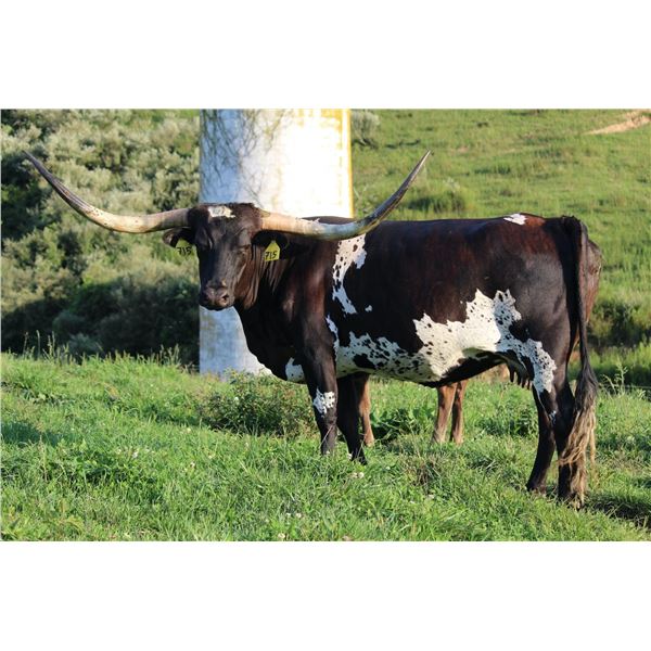 SUB LOT - LADY HATCHET