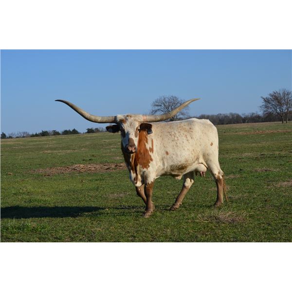 RC ANNIE GET YOURGUN