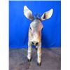 Image 2 : Tin Donkey- 32" X 36"