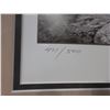 Image 2 : Signed And Numbered Shoofly Cowboy Print- 471/500- 34.5" X 27"