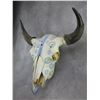 Image 2 : Painted Buffalo Skull- 23"