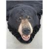 Image 2 : Double Matted Black Bear Rug- 71" Nose To Tail- 64" Across Front Legs- 51" Across Hind Legs- Good Ta