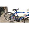Image 3 : BLUE RIDGERUNNER SPORTEK OST 21-SPEED ROAD BIKE
