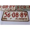 Image 3 : (3) Alberta License Plates - 1965 & 1996