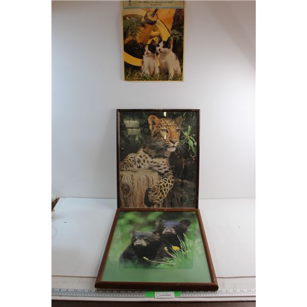 (2) Wildlife Framed Prints 21'' x 17'' and Kittens Poster