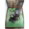 Image 2 : (2) Wildlife Framed Prints 21'' x 17'' and Kittens Poster