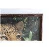 Image 7 : (2) Wildlife Framed Prints 21'' x 17'' and Kittens Poster