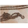 Image 6 : (2) 26 ft Chains with Hooks and Enamel Bowl