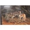 Image 2 : *Framed Wolf Print - 43 1/4" x 30 1/2"