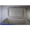 Image 2 : *Coleman Cooler (has paint on lid)