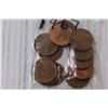 Image 5 : (4) Baggies of Pennies and Nickels