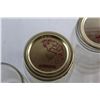 Image 5 : (19) Assorted Bernardin Glass Sealer Jars