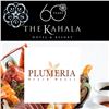Image 1 : Seafood Buffet for Two at Plumeria Beach House