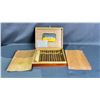 Image 1 : CASE OF COHIBA ESPLENDIDOS HABANOS CIGARS (UNKNOWN AUTHENTICITY)