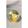 Image 2 : WESTERN RATTLESNAKE HEAD PRESERVED IN GLOBE