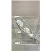 Image 2 : ORTHOCERAS FOSSIL 8"
