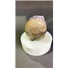 Image 3 : AMETHYST GEODE