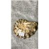 Image 2 : AMMONITE FOSSIL APPROX 3.8" LISTED RETAIL $400