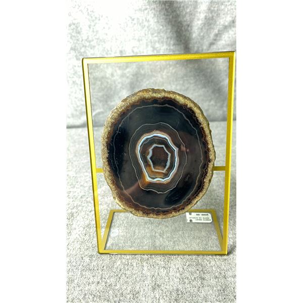AGATE ART DISPLAY LISTED RETAIL $600