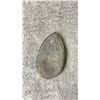 Image 2 : ORTHOCERAS FOSSIL DISPLAY LISTED RETAIL $400 *UNATTACHED*