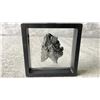 Image 2 : AMMONITE LISTED RETAIL $350 &BLACK KYANITE LISTED RETAIL $250