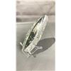 Image 2 : ORTHOCERAS FOSSIL RETAIL $400