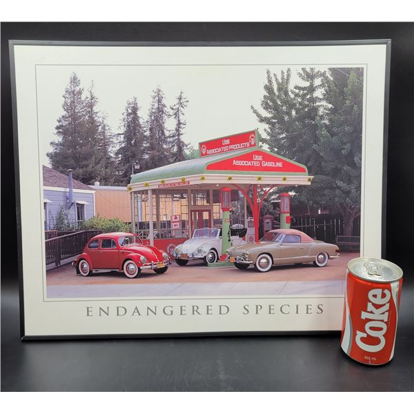 Framed Endangered Species Car Print