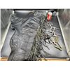Image 1 : Leather Chaps and Bits and Spurs