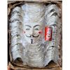 Image 1 : White V For Vendetta Masks