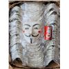 Image 1 : White V For Vendetta Masks
