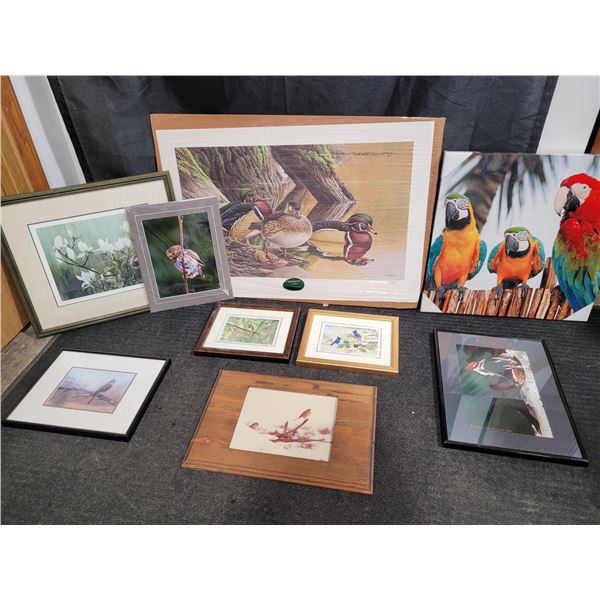 Framed Bird Prints
